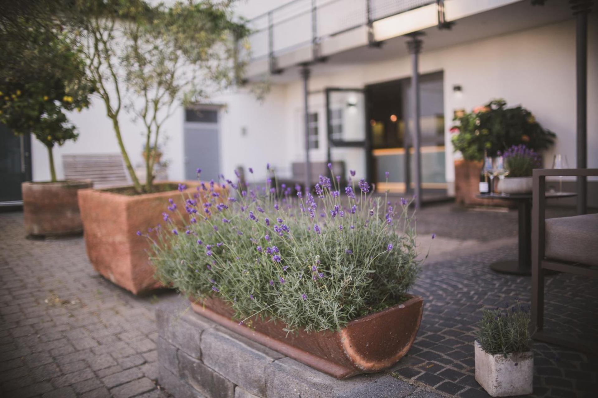 Weingut Gehlen-Cornelius Hotel Brauneberg Exterior photo